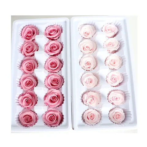Preserved Rose Heads Real Fresh Flower For DIY Craft Wedding Party Home Decor Gift Box Packaging Premium Quality