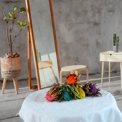 Fiori di Banksia Secchi Naturali Vera Pianta Floreale Arredamento Casa Oggetti Fotografia Bouquet Matrimonio Fai da Te