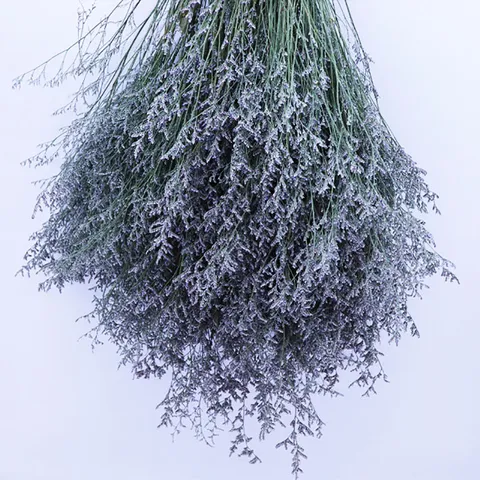 Natural Dried Flowers Limonium Bundle For Home Decoration Photography Props DIY Floral Arrangement Interior Decor