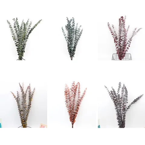 Natural Dried Eucalyptus Leaves Preserved Flower Bunch DIY Wedding Home Decor Floral Botanical Craft