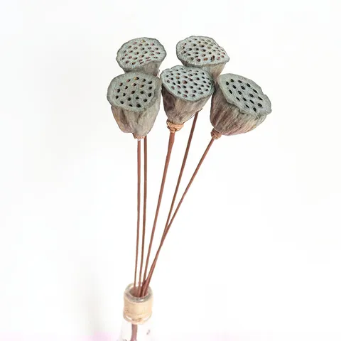 Natural Dried Lotus Pods With Stem Dried Flower Bouquet Floral Arrangement Material For Home Decor Crafting