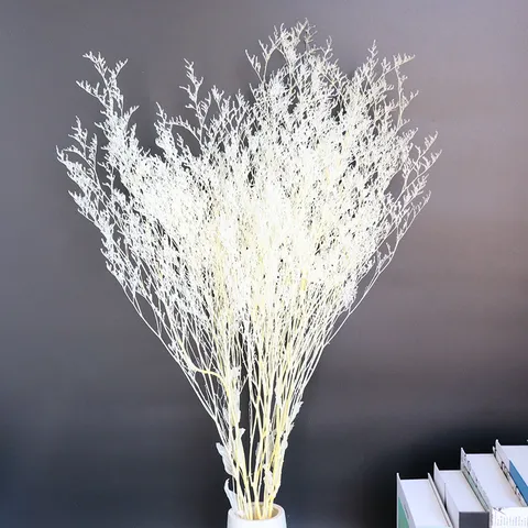 Natural Preserved Flowers Dried Statice Bleached White Bunch For Home Decor Photography Props Floral Arrangement