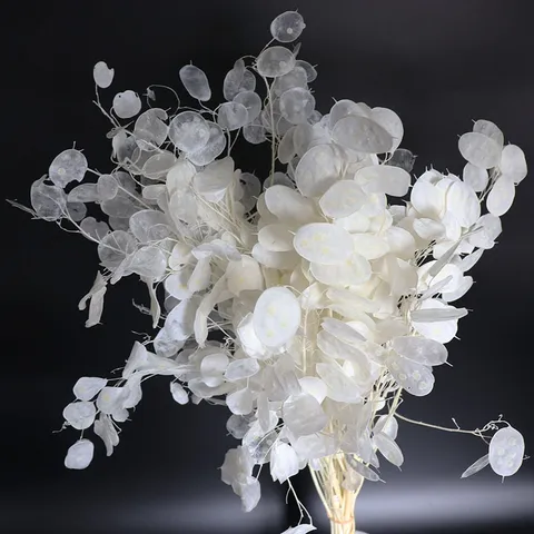 Natural Preserved Silver Dollar Eucalyptus Dried Flowers Lunaria Leaves For Home Decor Wedding Party Photography Props