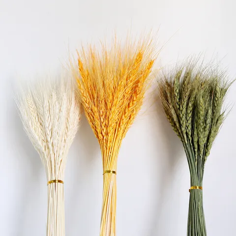 Natural Dried Wheat Ears Dried Flowers Natural Barley Bouquet For Home Decor Wedding Floral Arrangement