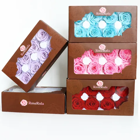 Geconserveerde Rozenbloemkoppen A-Kwaliteit Verse Bloem Voor DIY Glazen Kap Woondecoratie Feest Bruuiloft Ambacht Geschenk