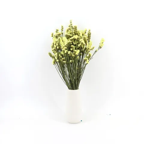 Bouquet di Fiori di Non Ti Scordar di Me Secchi Naturali Vera Composizione di Fiori Secchi Per Decorazione Casa San Valentino Matrimonio Festa Regalo
