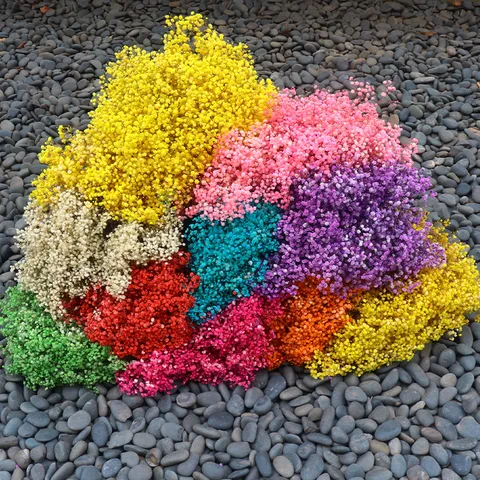 Natural Preserved Gypsophila Flowers Real Dried Baby's Breath Bunch For Home Decor Wedding Party Floral Arrangement Gift