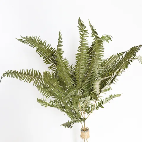 Natural Dried Fern Leaves Dried Flowers Bouquet For Home Decor DIY Floral Arrangement Crafting Photography Props