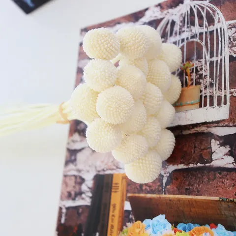 Mazzo di Fiori Secchi Billy Balls Naturali Preservati Artigianato Fai-da-te Arredamento Matrimonio Festa Composizione Floreale