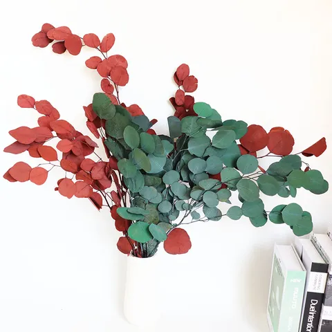 Nordic Style Round Leaf Eucalyptus Preserved Flower Bouquet Natural Dried Plant Greenery For Indoor Home Decor