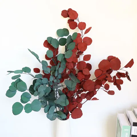 Nordic Style Round Leaf Eucalyptus Preserved Flower Bouquet Natural Dried Plant Greenery For Indoor Home Decor