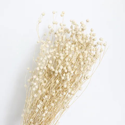Mazzo di Rami di Fiori e Fagioli Secchi Naturali per Decorazioni Domestiche Composizione Floreale Festa di Matrimonio