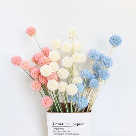 Preserved Scabiosa Windmill Flowers Dried Flower Bouquet Natural Botanical Floral Home Decor DIY Flower Gift
