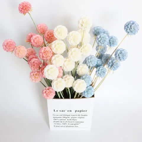 Preserved Scabiosa Windmill Flowers Dried Flower Bouquet Natural Botanical Floral Home Decor DIY Flower Gift