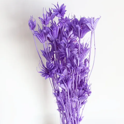 Bouquet di Fiori Secchi Naturali Fatto a Mano Composizione Floreale Botanica Per Arredamento Accessori per Fotografia