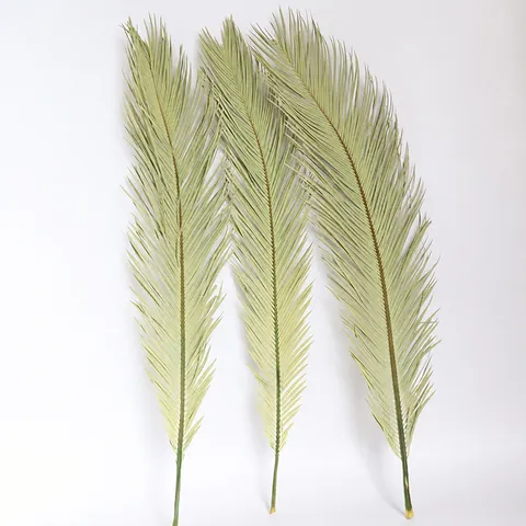 Natural Dried Palm Leaves Dried Flowers Branch For Wedding Home Decor Boho Floral Arrangement Natural Plant Home Decoration