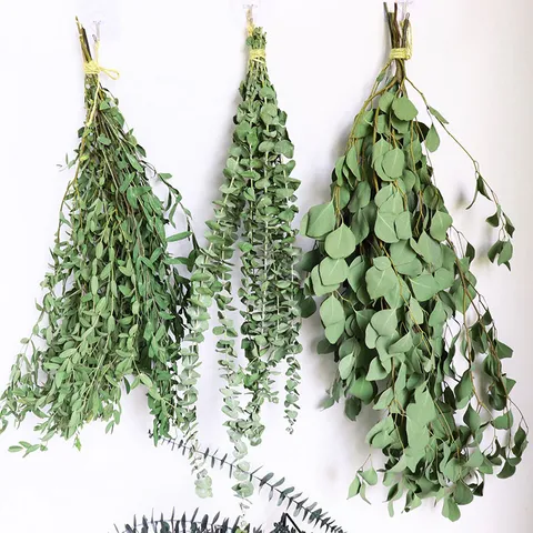 Natural Dried Eucalyptus Leaves Bunch For Home Decor Hotel Floral Arrangement Natural Green Plant Dried Flowers Bouquet