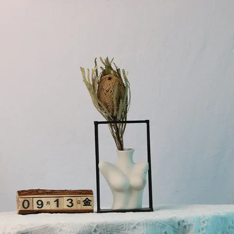 Fiori Secchi Naturali Protea Banksia Pianta Essiccata Arredamento Accessori per Fotografia Composizione di Fiori Secchi Naturali