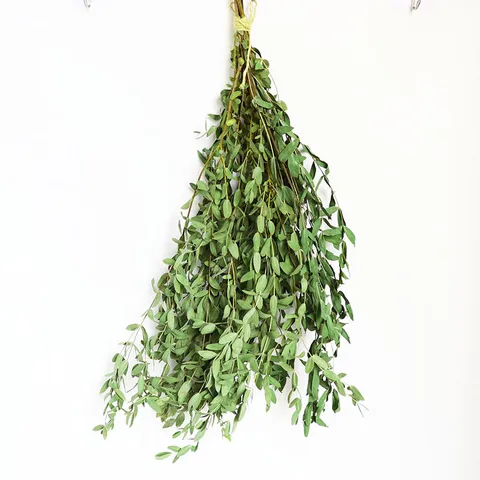 Natural Dried Eucalyptus Leaves Bunch For Home Decor Hotel Floral Arrangement Natural Green Plant Dried Flowers Bouquet