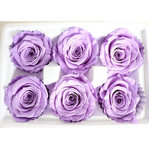 Konservierte Rose Geschenkbox Grad A Echte Konservierte Blumen Für DIY Schlüsselanhänger Auto Hängen Heimdekoration Geschenk
