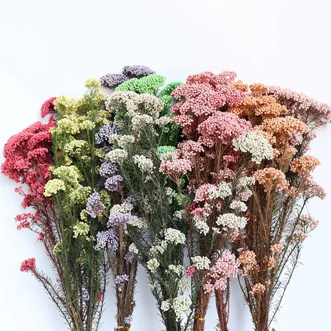Preserved Millet Flowers Dried Flower Bouquet Natural Botanical Floral Decor For Home Wedding DIY Craft Photography Props