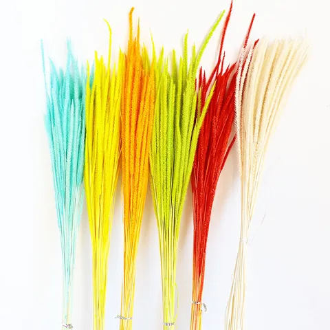 Bouquet di Fiori Secchi Naturali Stile Nordico Fiori Solidago Preservati Per Casa Soggiorno Matrimonio Festa Decorazione Tavola