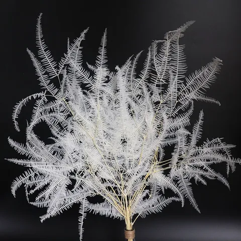 Bouquet di Fiori Secchi di Foglie di Felce Gleichenia Dichotoma Conservate Per Copertura di Vetro Decorazione Floreale Galleggiante Casa
