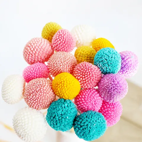 Mazzo di Fiori Secchi Billy Balls Naturali Preservati Artigianato Fai-da-te Arredamento Matrimonio Festa Composizione Floreale