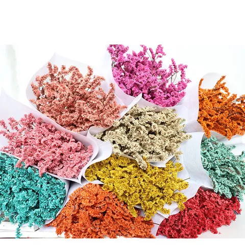 Natural Preserved Flower Crystal Grass Bouquet Dried Flowers For Home Decor Photography Props DIY Floral Arrangement