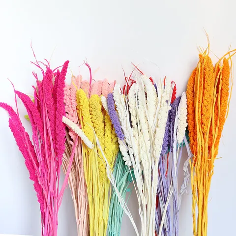 Bouquet di Fiori Secchi Naturali Spiga di Miglio Erba Coda di Coniglio Stile Ins Arredamento Accessori per Fotografia