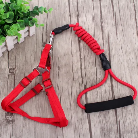 Nylon Haustier Hund Leine Und Geschirr Set Verstellbarer Brustgurt Elastisches Zugseil Für Kleine Mittlere Hunde Gassi Gehen