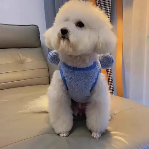 Winter Warm Fleece Pet Dog Cat Vest Cute Cartoon Embroidery Puppy Clothes Soft Winter Apparel For Small Dogs And Cats
