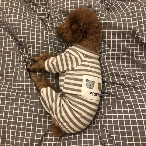 Soft Comfortable Cute Animal Print Dog Pajamas Four-Legged Homewear Breathable Puppy Cat Clothes Small Dogs Apparel