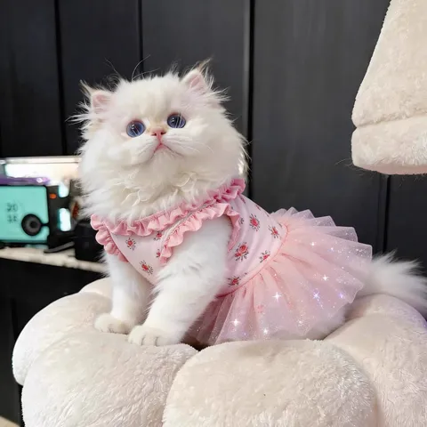 Spring Summer Princess Style Floral Mesh Pet Dress Cute Sweet Cat Dog Skirt Breathable Small Puppy Apparel Pet Clothing