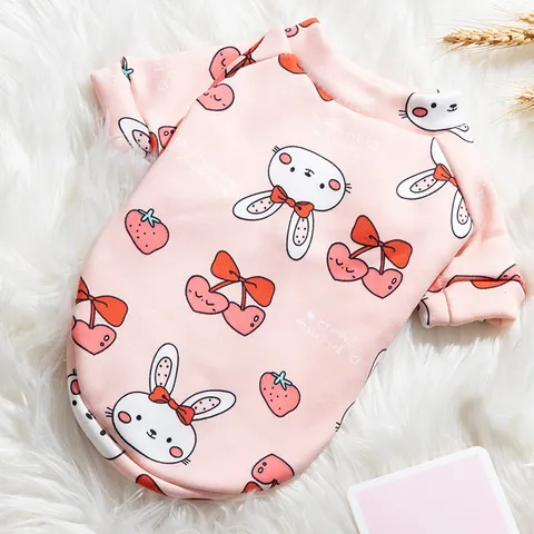 Cute Cartoon Pet Dog Cat Hoodie Milk Silk Velvet Warm Pullover Clothes Cute Bear Unicorn Dinosaur Print Pet Apparel
