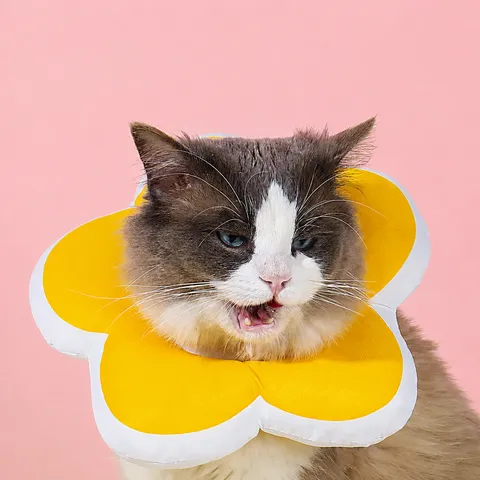 Waterproof Pet Elizabethan Collar Cute Sunflower Shape Soft Recovery Cone Anti-Licking Wound Healing Care For Cats Dogs