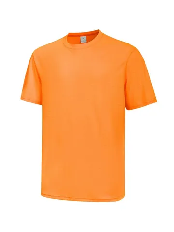 Men's Quick Dry Sports T-Shirt Casual Short Sleeve Crew Neck Breathable Athletic Workout Running Tee Plus Size
