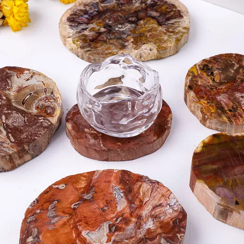 Natürliche Versteinerte Holzscheibe Untersetzer Mineralienschein Poliertes Holzfossil Quarzkristall Heilstein Tischdeko Ornament