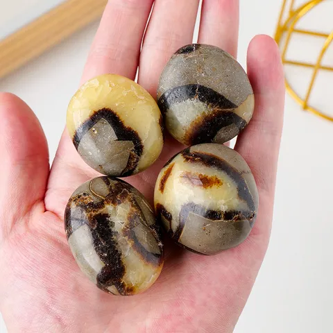 Natural Septarian Dragon Stone Palm Stone Hand Polished Mineral Crystal Specimen Geometric Healing Quartz Pebble Home Office Decor Accents Mineral Ornament