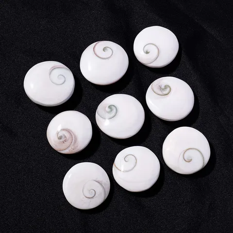 Natural Sun Shell Ocean Shell Fossil Specimen Spiral Pattern Polished Conch Shell Pendant For Home Decoration Specimen Collection