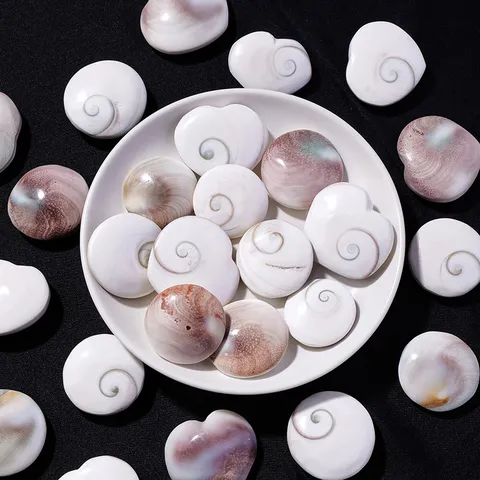 Natural Sun Shell Ocean Shell Fossil Specimen Spiral Pattern Polished Conch Shell Pendant For Home Decoration Specimen Collection