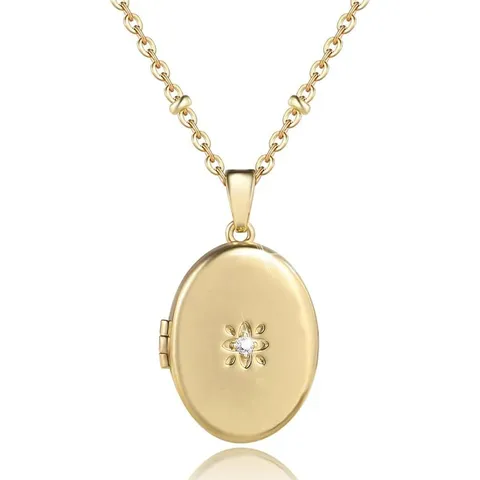 Collier Médaillon Ovale en Laiton Plaqué Or 14K Avec Fleur en Zircone Cœur Pendentif Médaillon Photo Bijoux de Mode Européenne pour Femmes
