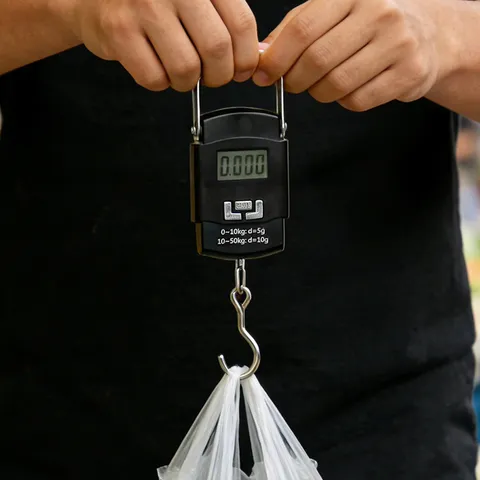 Balance Suspendue Électronique Portable Haute Précision Pèse-Bagage Numérique Outil De Pesage Pour Cuisine