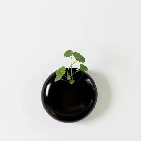 Ceramic Wall Hanging Planter Creative Hydroponic Flower Pot Minimalist Modern Wall Decor For Indoor Home Garden