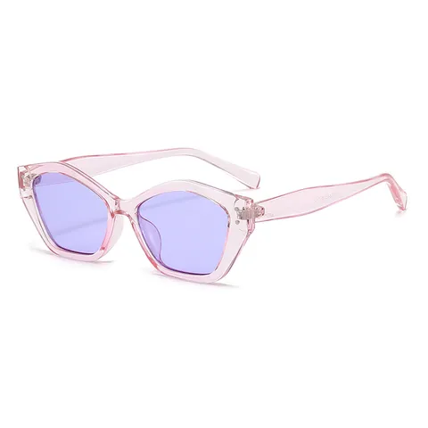 Vintage Polygon Sonnenbrille Für Herren Damen Geometrischer PC Rahmen AC Gläser UV400 Sonnenschutz Trendige Lässige Brille Mit Metallnieten