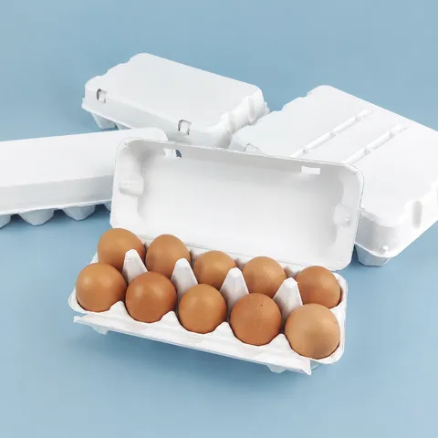 Biodegradable Paper Pulp Egg Carton Eco Friendly White Egg Holder Tray For Fresh Eggs Kitchen Storage Container