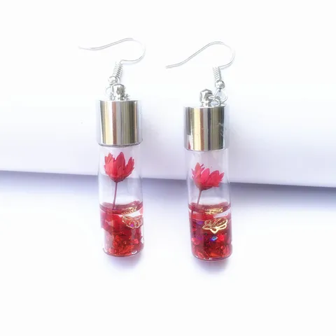 Fashion Glass Wishing Bottle Earrings With Dried Star Flowers Transparent Drift Bottle Pendant Earrings For Women Jewelry Gift