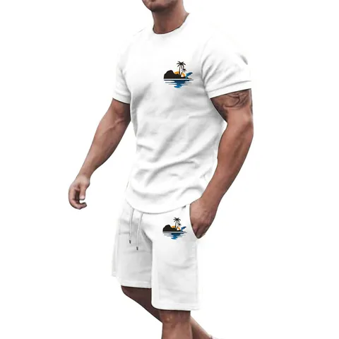 Men Summer Casual Sports Tracksuit Short Sleeve T-Shirt And Shorts Set Polyester Breathable Athletic Outfit