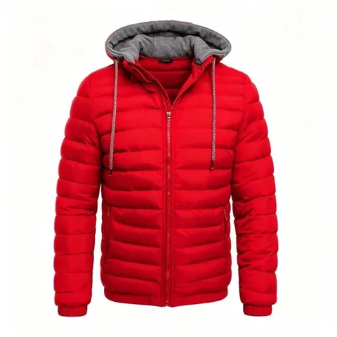Veste Rembourrée à Capuche pour Homme Manteau en Coton Chaud d'Hiver Casual Doudoune Matelassée Avec Capuche Amovible Grande Taille