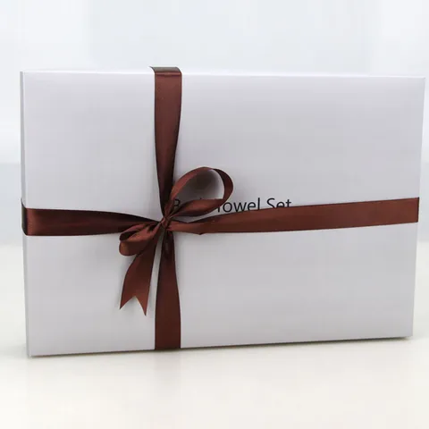 Boîte Cadeau en Papier Couché Blanc Avec Ruban Logo Argenté Boîte d'Emballage pour Serviette Rangement Maison